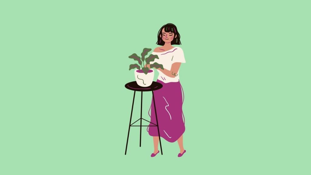 45 Things to Do When You're Bored at Night – Gardening Plant Nature Gardening Plant Nature