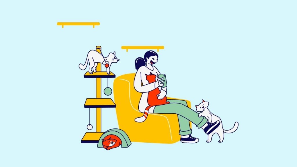 25 Things to Do When You Don't Know What to Do – Playin with Pets Cat Playin with Pets Cat